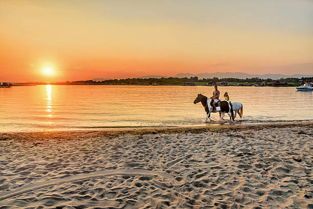 giovani cavalcare cavalli nel tramonto in riva al mare - foal child mare horse foto e immagini stock