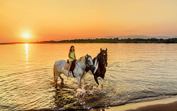 bella ragazza equitazione litlle cavallo al tramonto in riva al mare - foal child mare horse foto e immagini stock