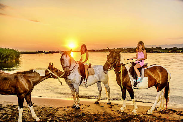 due sorelle cavalcare cavalli nel tramonto in riva al mare - foal child mare horse foto e immagini stock