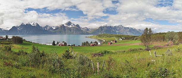 istock fjord landscape near village Djupvik 488408242