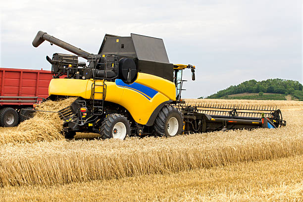istock Combine harvesting wheat in tandem with tractor 488409878