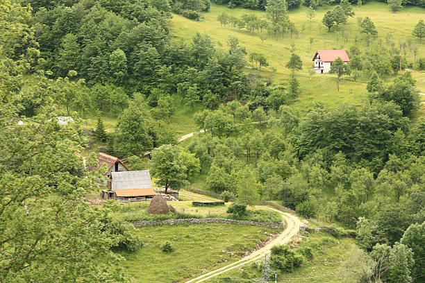 istock European nature landscape in the mountains 488410168