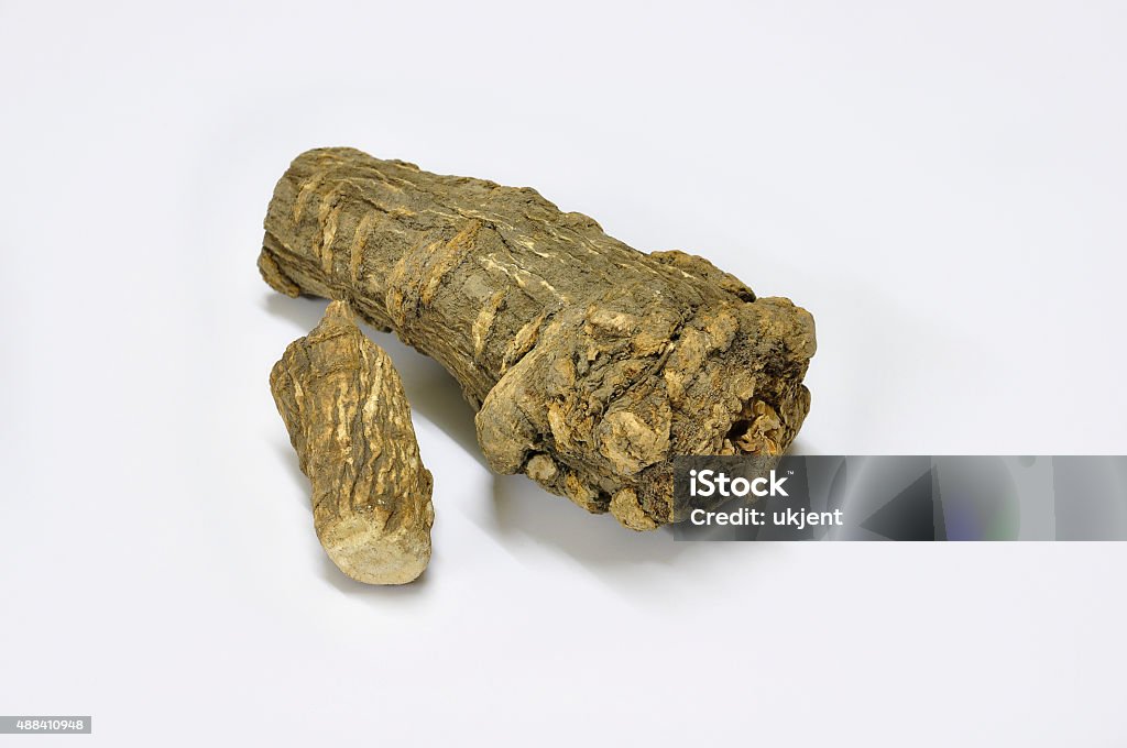 Dahurian angelica root Dahurian angelica root is a key ingredient in herbal salts of Thailand. Angelica Stock Photo