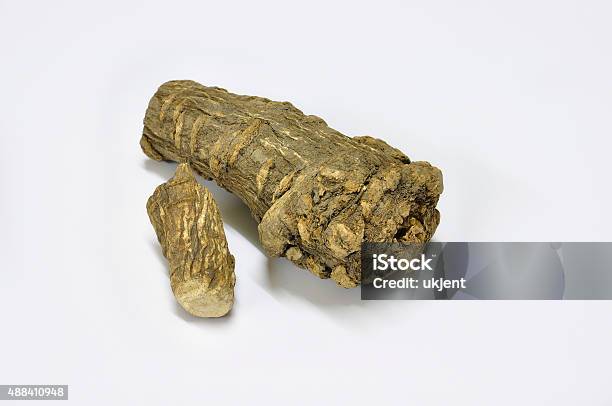 Dahurian Angelica Root Stock Photo - Download Image Now - Angelica, 2015, Aromatherapy