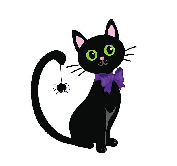 Black cat isolated on white background.Halloween Cute Black cat isolated on white background.Halloween black cat stock illustrations