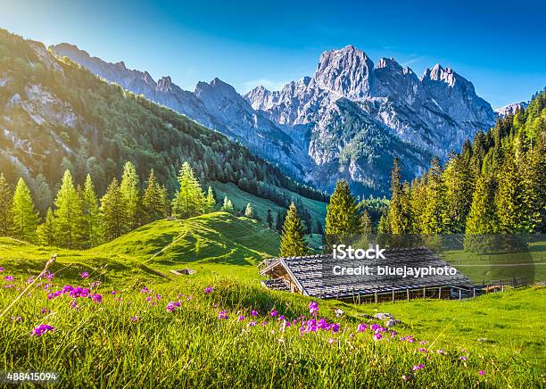 Idyllische Landschaft Der Alpen Bergchalet Im Frühling Stockfoto und mehr Bilder von Alpen