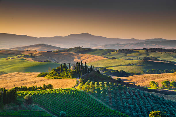 아름다운 투스카니 풍경, 썬라이즈, 발 도르시아, 이탈리아 - val dorcia 뉴스 사진 이미지
