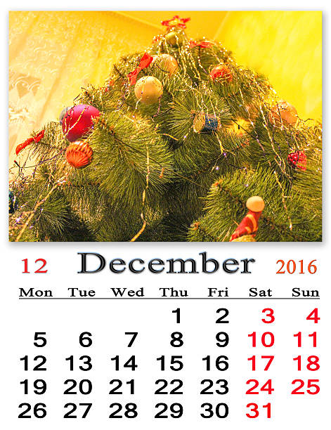 beautiful calendar for December 2016 with the ribbon of evergreen spruce