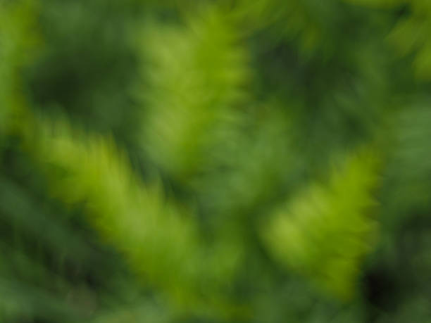 istock Blur effect of nature background 488432894