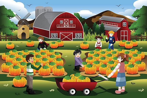 illustrazioni stock, clip art, cartoni animati e icone di tendenza di bambini su un campo di zucche viaggio in autunno stagione - pumpkin child little girls pumpkin patch