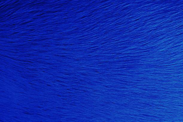 Abstract blued background.