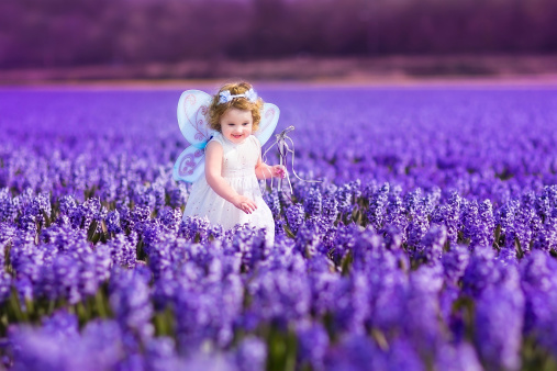 Portrait of an adorable toddler girl in a magic fairy costume and flower crown in her curly hair playing with a wand in a beautiful field of purple hyacinths in Keukenhof, Holland on windy spring day