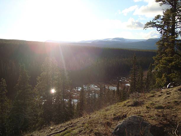 istock Marshy Valley in the Yukon 488438274