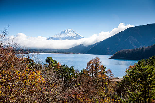 istock Mt Fuji view from the lake 488438683