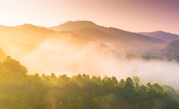 istock Panoramic view misty morning sunrise in mountain at north Thailand 488438792
