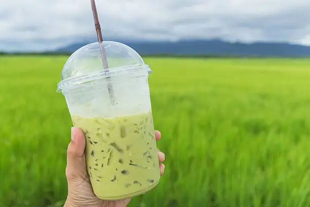 Hand holding a cup of milk green tea at the rice field