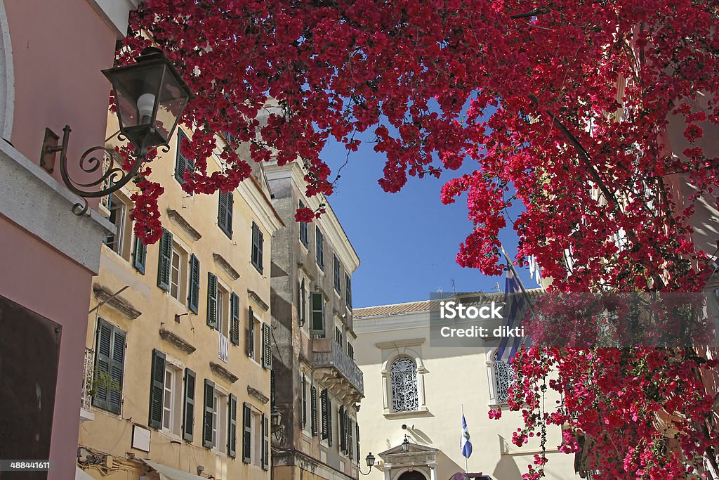 Purple bougainvillea in a mediterranean town Colorful street in old town of Kerkyra with bright bougainvillea bloom above the passage. Corfu, Greece Aegean Sea Stock Photo