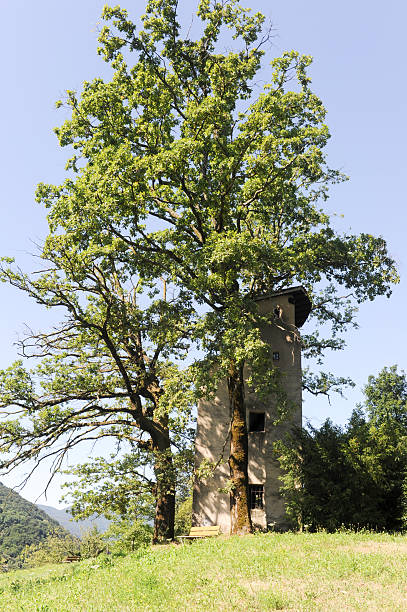 tower com uma árvore no montagnola - montagnola - fotografias e filmes do acervo