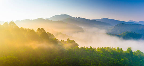 istock Panoramic view misty morning sunrise in mountain at north Thailand 488442692