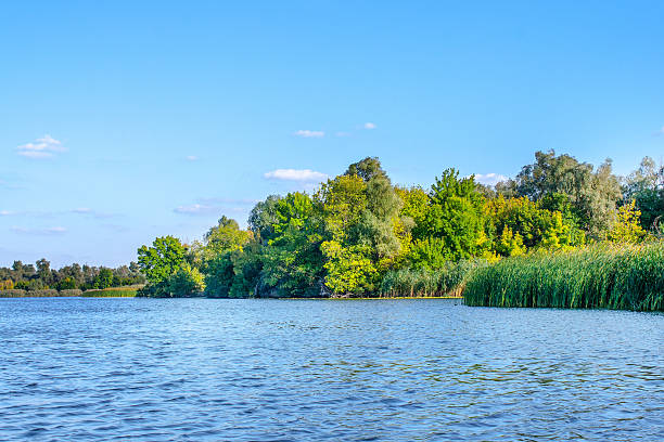 istock landscape image of a large river shore vegetation 488461964