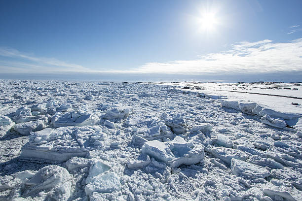 istock Arctic spring in south Spitsbergen. 488463226