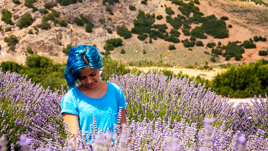 Portrait of a beautiful blue-haired girl  on lavender field.