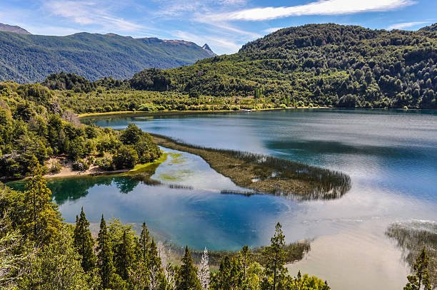 lago menendez, alerces parco nazionale, argentina - larch tree foto e immagini stock