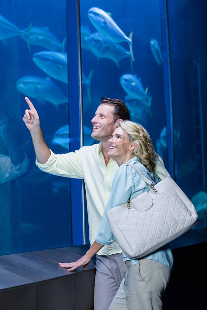 istock Happy couple pointing a fish tank 488466896