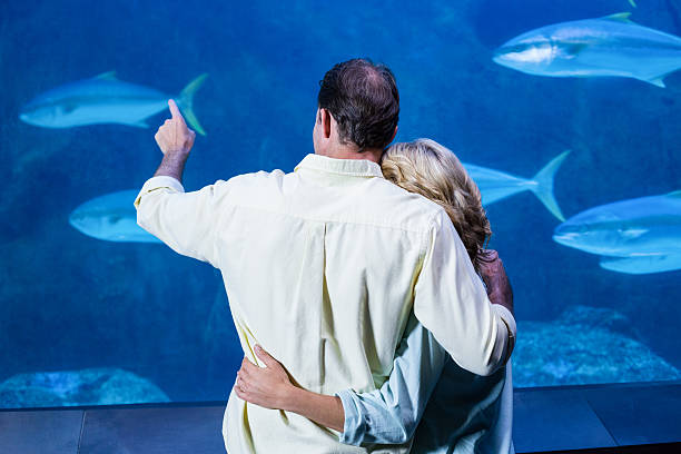 istock Rear view of couple watching the tank fish 488467530