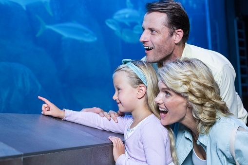 Happy family looking at the fish tank at the aquarium