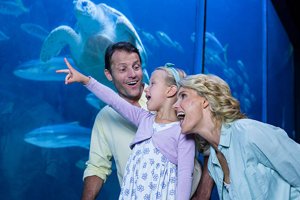 istock Happy family looking at the fish tank 488469016