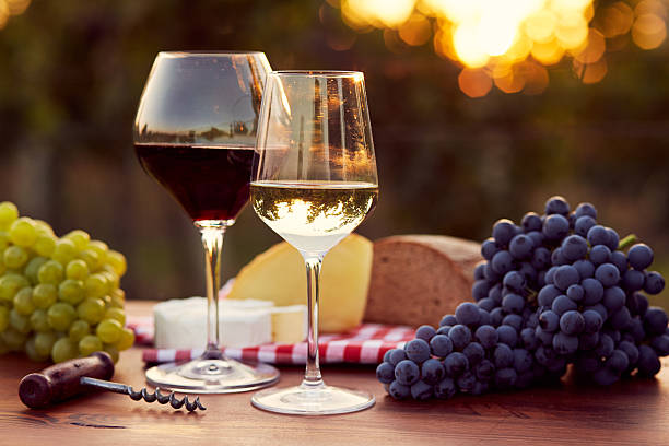 deux verres de vin rouge et de vin blanc - sunlit grapes photos et images de collection