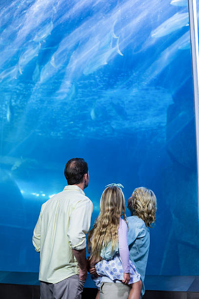 istock Happy family looking at the fish tank 488470294