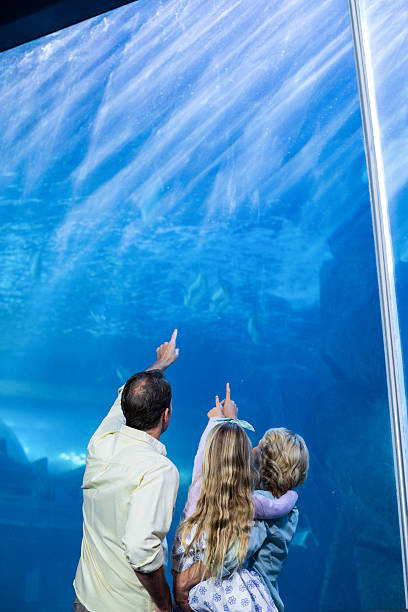 istock Happy family looking at the fish tank 488470326