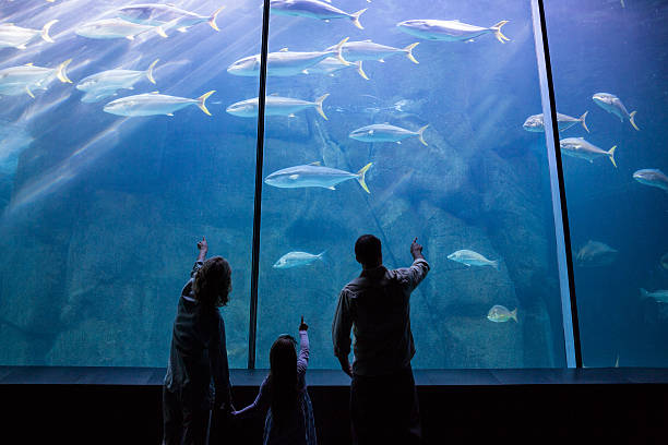 istock Happy family looking at the fish tank 488470524