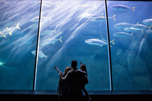 istock Happy family looking at the fish tank 488470618