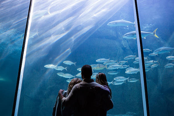 istock Happy family looking at the fish tank 488470664