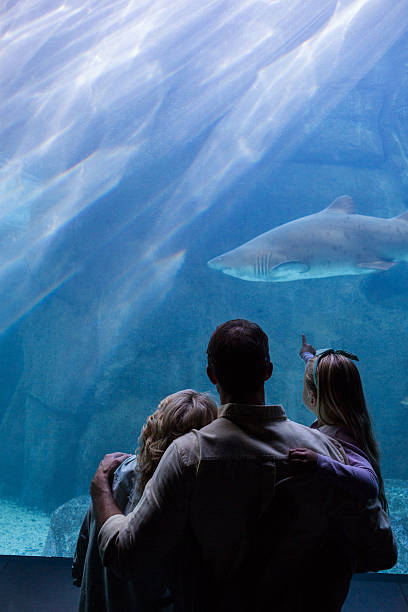 istock Happy family looking at the fish tank 488470714