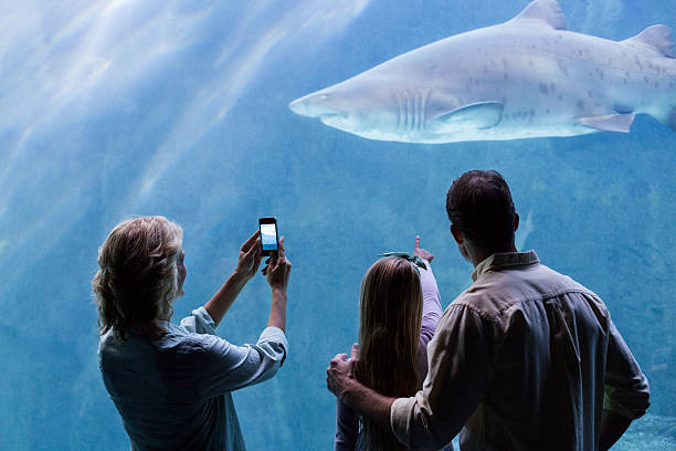 istock Happy family looking at the fish tank 488470776