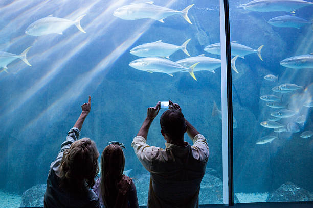 istock Happy family looking at the fish tank 488470978