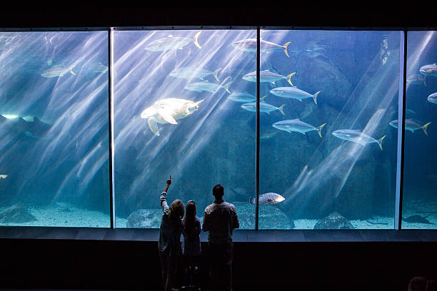 istock Happy family looking at the fish tank 488471040