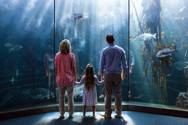 istock Family looking  at fish tank 488471706