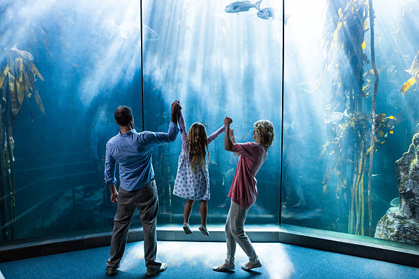 istock Parents lifting their dauhter behind the fish tank 488471854