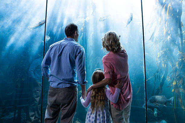 istock Familly looking at fish tank 488471986