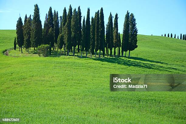 Foto de Toscana e mais fotos de stock de Agricultura - Agricultura, Ajardinado, Campo