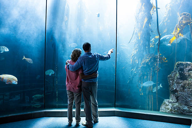 ウェアのお求めのカップルに魚をタンクトップ - animal fish tank aquatic beauty in nature ストックフォトと画像