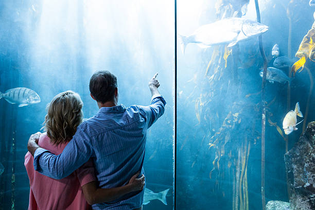 istock Couple looking at fish in tank 488472760