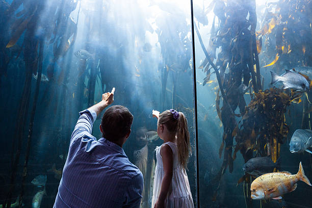 istock Father and daughter pointing a fish in the tank 488472808