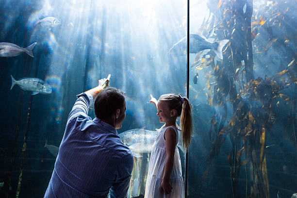 istock Father and daughter pointing a fish in the tank 488472866