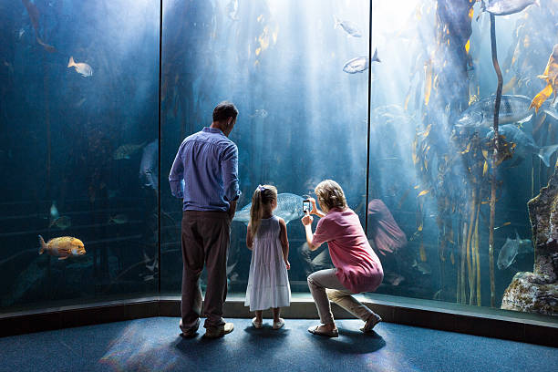 istock Family on day out at the aquarium 488473000